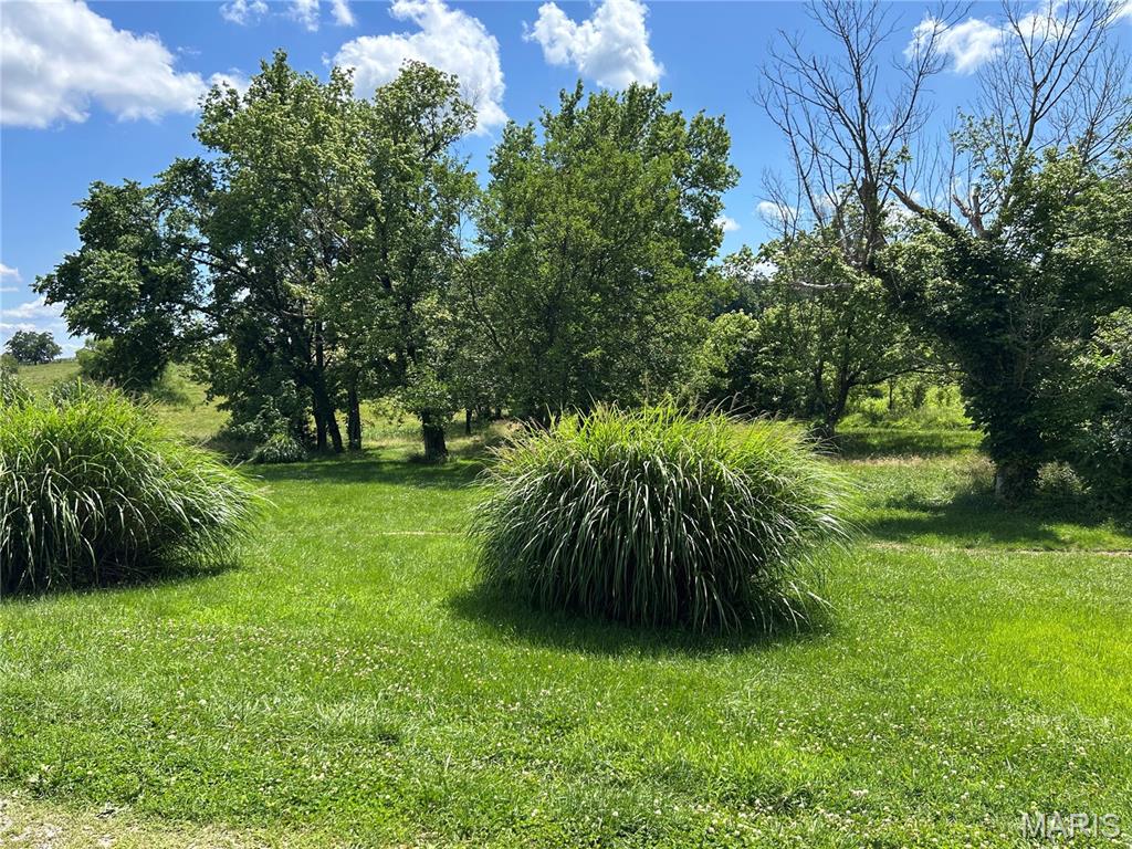 255 Kimber Road Dongola, IL 62926 - Photo 15 of 29