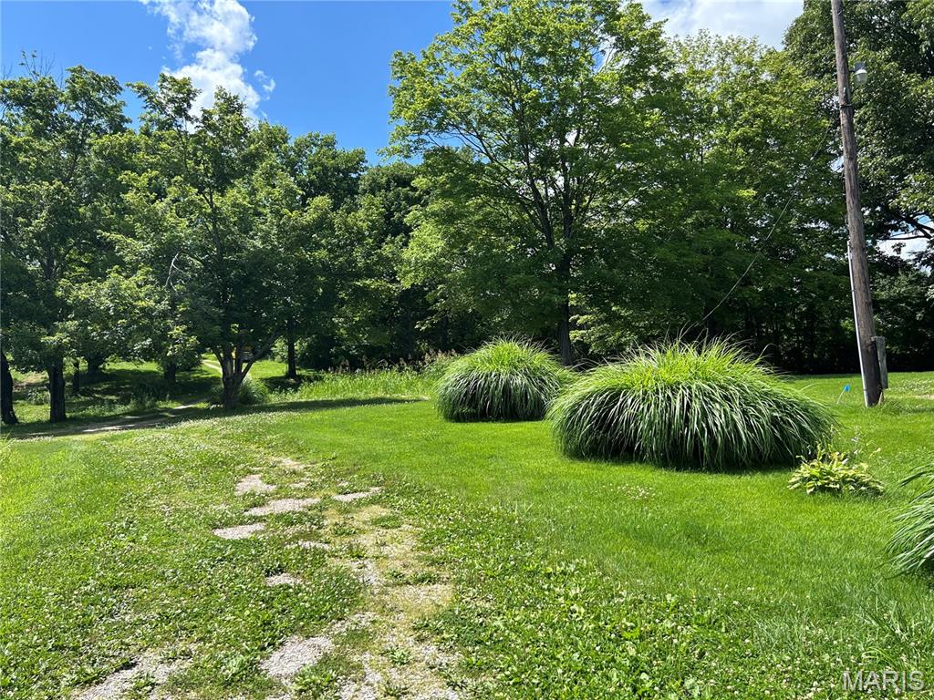 255 Kimber Road Dongola, IL 62926 - Photo 19 of 29