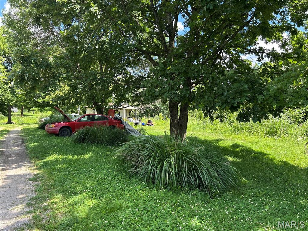 255 Kimber Road Dongola, IL 62926 - Photo 9 of 29