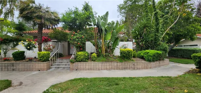 a view of a garden with potted plants