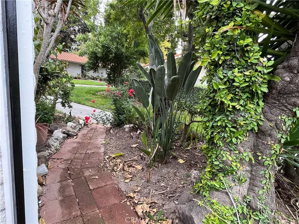 a view of a garden with plants and large trees