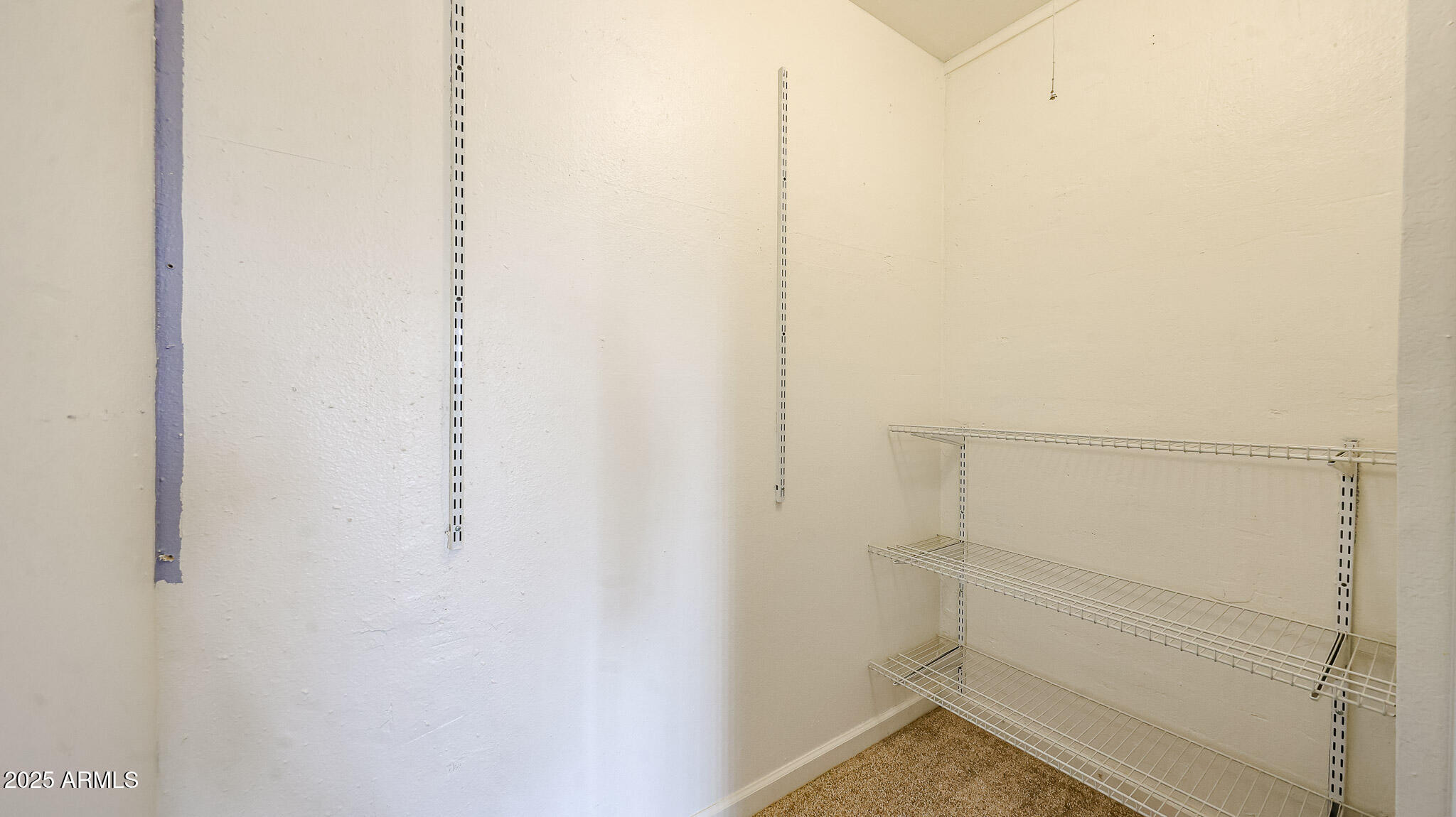 11851 North Thunderbird Road Sun City, AZ 85351 - Photo 30 of 46 a view of closet