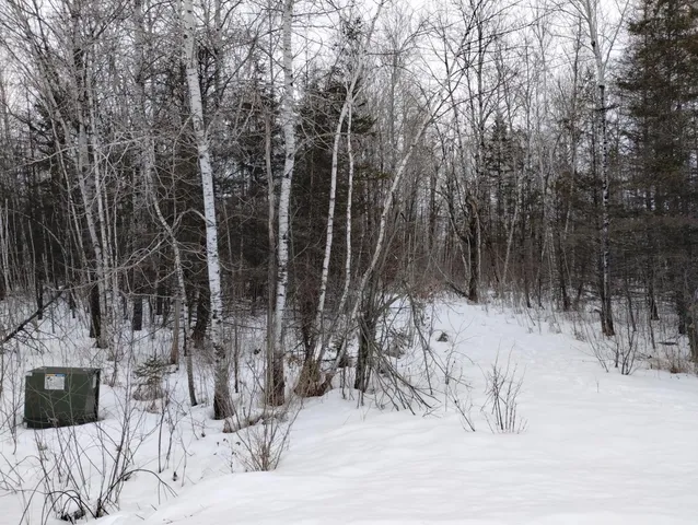 $44,900 | Tbd 294th Avenue, Brook Park, MN 55007