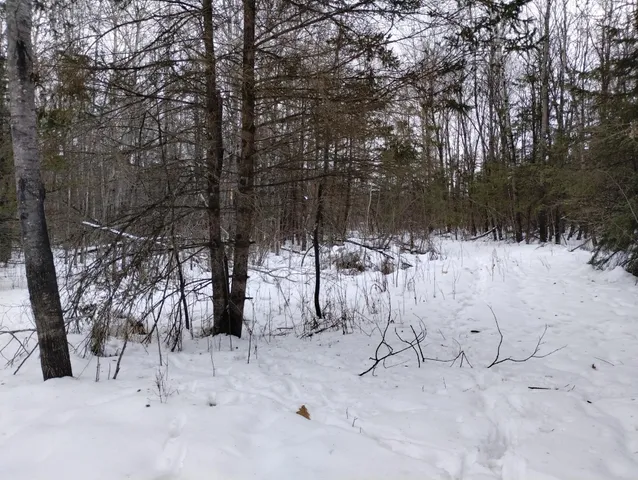 $44,900 | Tbd 294th Avenue, Brook Park, MN 55007