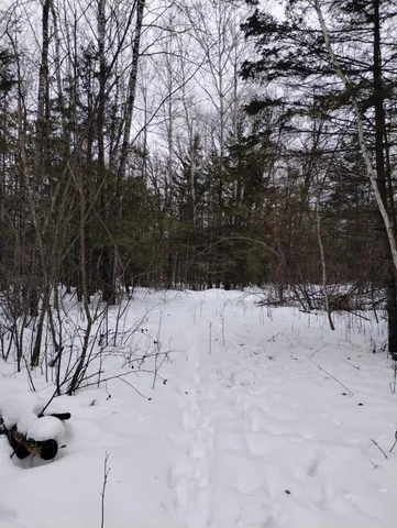 $44,900 | Tbd 294th Avenue, Brook Park, MN 55007