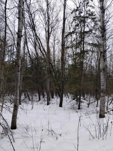 $44,900 | Tbd 294th Avenue, Brook Park, MN 55007