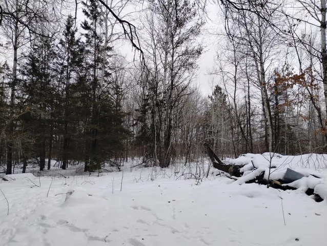 $44,900 | Tbd 294th Avenue, Brook Park, MN 55007