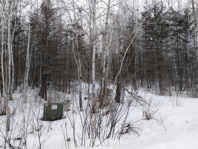 $44,900 | Tbd 294th Avenue, Brook Park, MN 55007