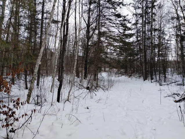 $44,900 | Tbd 294th Avenue, Brook Park, MN 55007