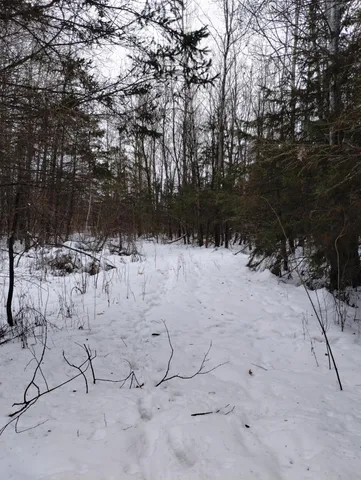 $44,900 | Tbd 294th Avenue, Brook Park, MN 55007