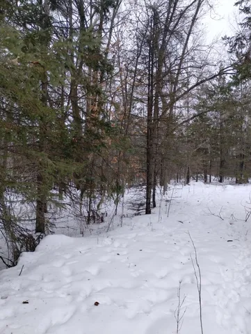 $44,900 | Tbd 294th Avenue, Brook Park, MN 55007