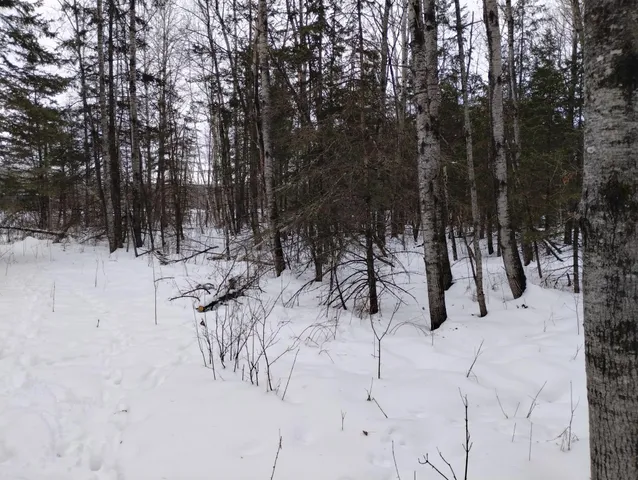 $44,900 | Tbd 294th Avenue, Brook Park, MN 55007