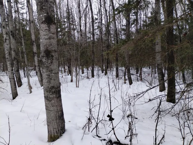 $44,900 | Tbd 294th Avenue, Brook Park, MN 55007