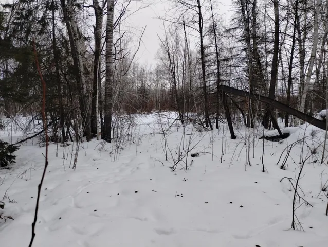 $44,900 | Tbd 294th Avenue, Brook Park, MN 55007