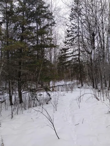 $44,900 | Tbd 294th Avenue, Brook Park, MN 55007