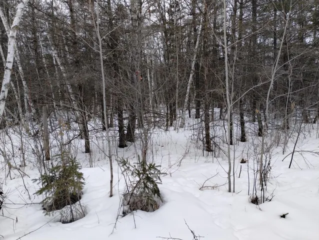 $44,900 | Tbd 294th Avenue, Brook Park, MN 55007