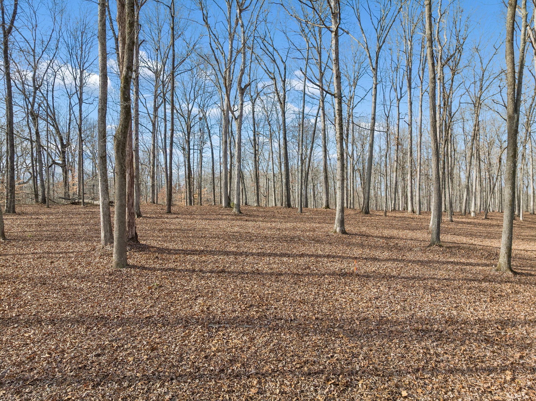 2 Peach Hollow Road Franklin, TN 37064 - Photo 10 of 19 Gallery Image 10