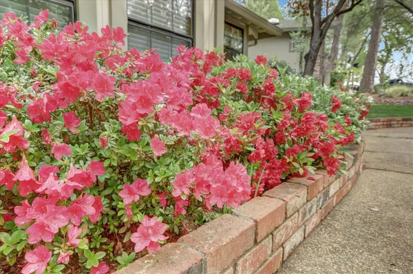 $649,950 | 11774 Skipper Court, Penn Valley, CA 95946