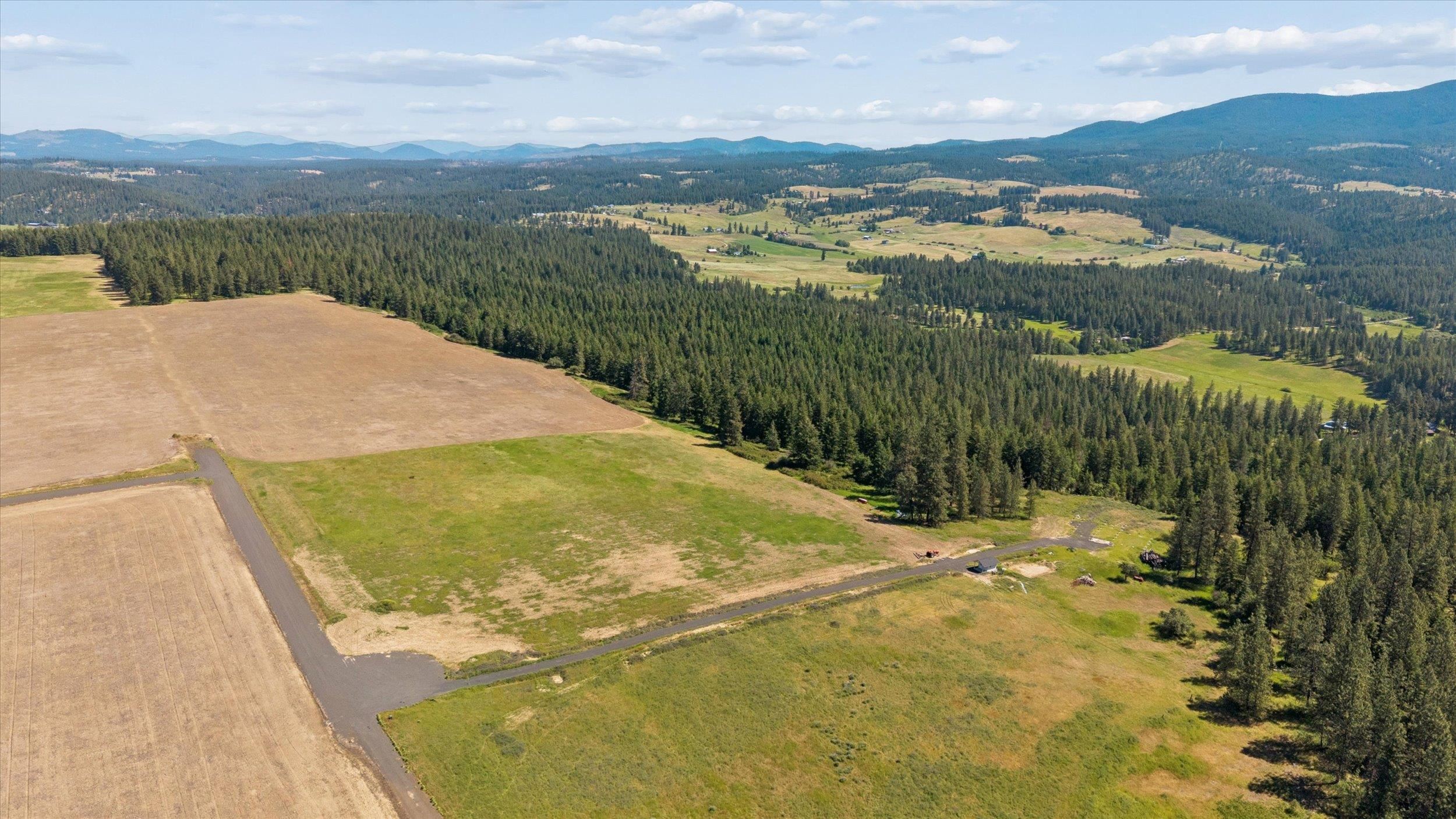 Xx Xx Genesis Lane Chattaroy, WA 99003 - Photo 11 of 13