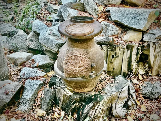 a kitchen with a stove a microwave and cabinets
