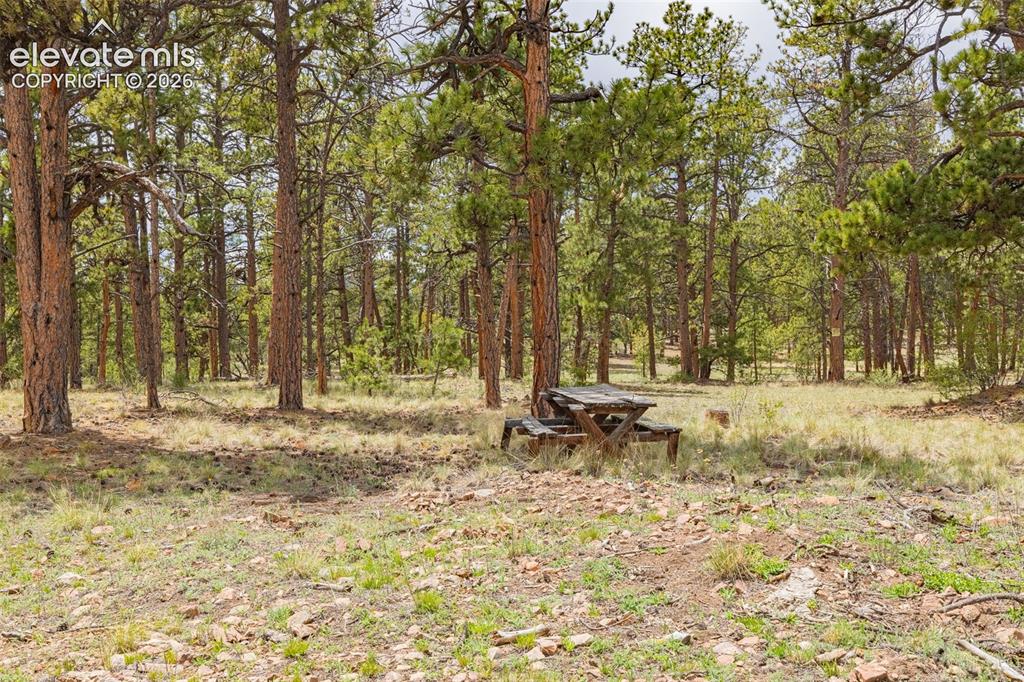 4250 Doe Valley Road Guffey, CO 80820 - Photo 15 of 35