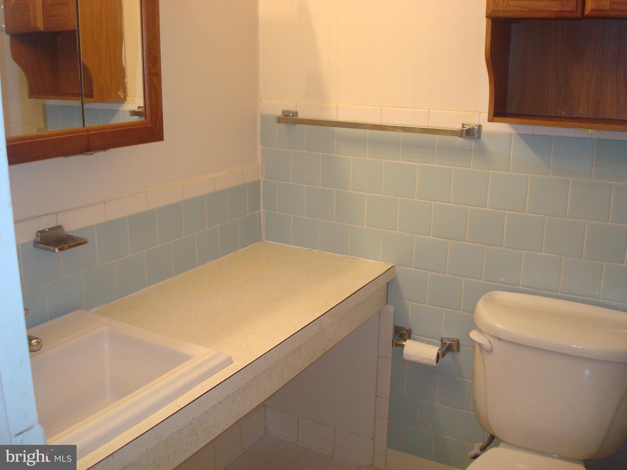 3742 Bel Pre Road, Unit 12 Silver Spring, MD 20906 - Photo 19 of 21 Lots of counter space in the bathroom.