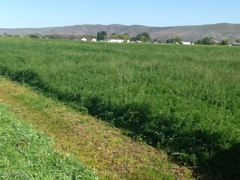 Tbd Sievers Road Prosser, WA 99350 - Photo 2 of 4 IMG_0672