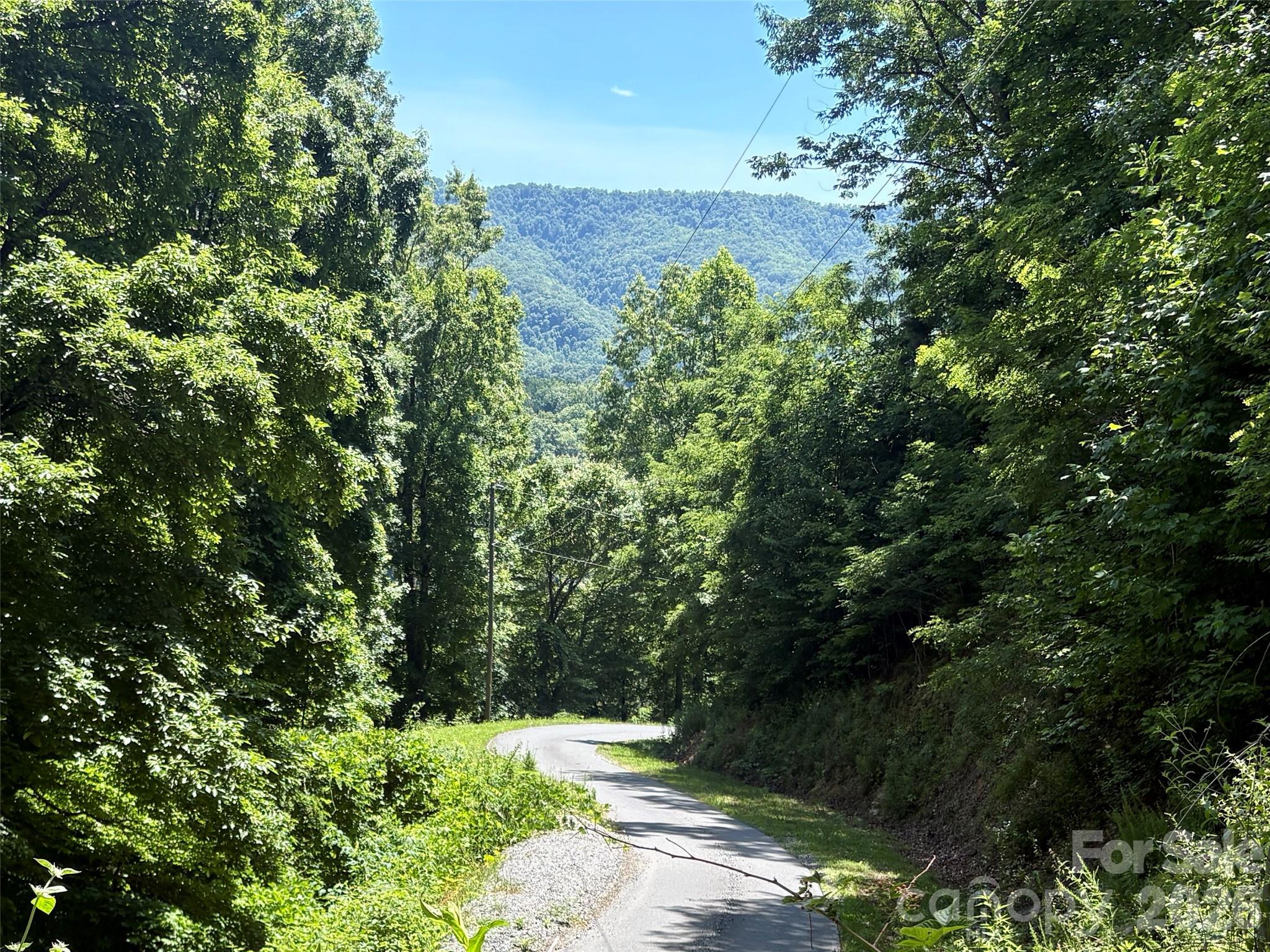 0 Eagles Roost Road, Unit 70 Bryson City, NC 28713 - Photo 12 of 13