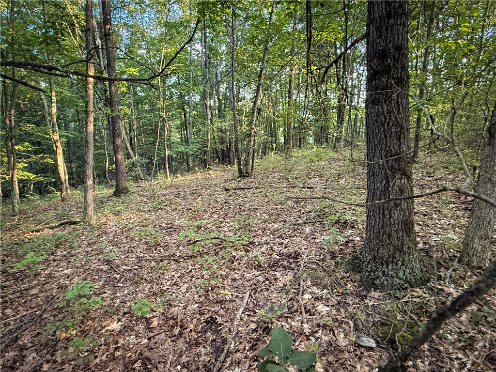 144 Hardscrabble Road Baldwin, NY 14861 - Photo 26 of 50 Gallery Image 26