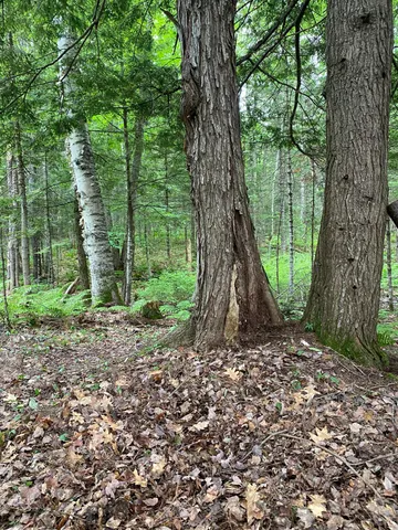 $79,000 | Tbd Tbd Spruce Drive, North Anson, ME 04958