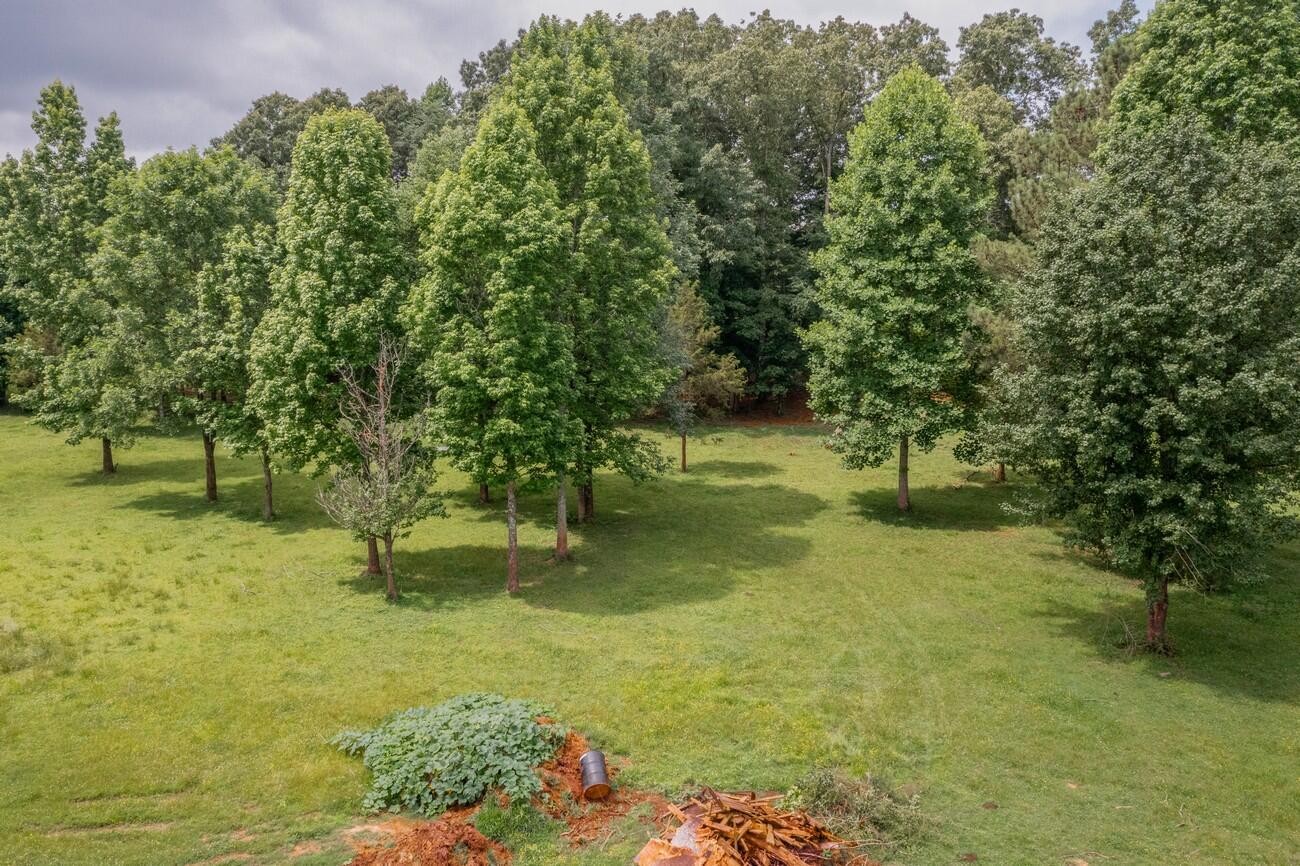 11511 Blair Road Apison, TN 37302 - Photo 59 of 76 Gallery Image 59