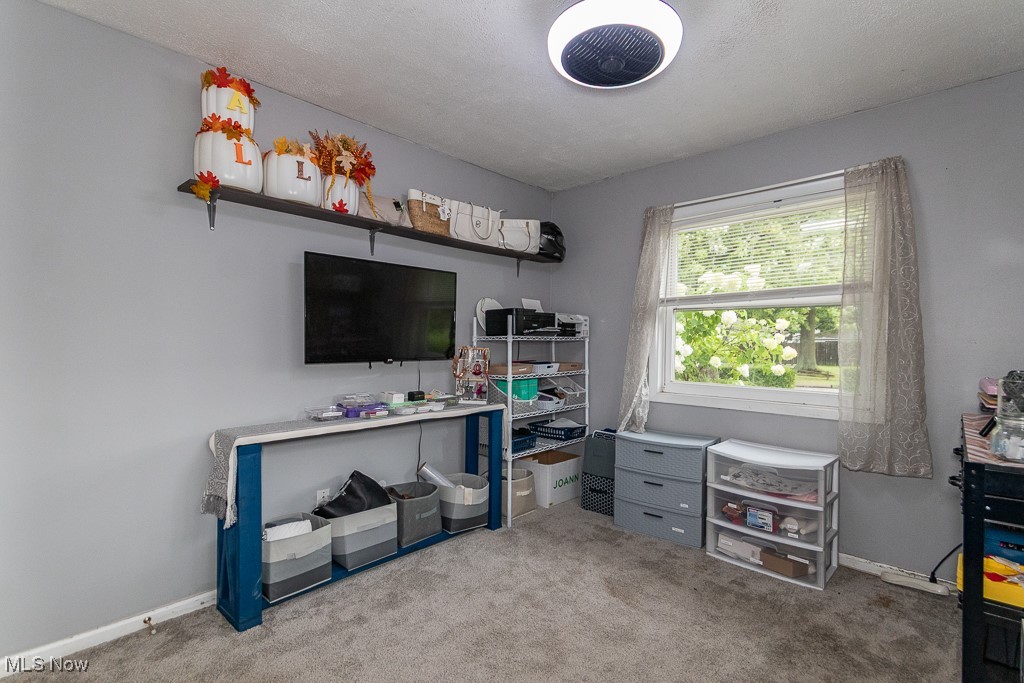 4973 Orchard Road Mentor, OH 44060 - Photo 17 of 30 Rec room featuring carpet and a textured ceiling