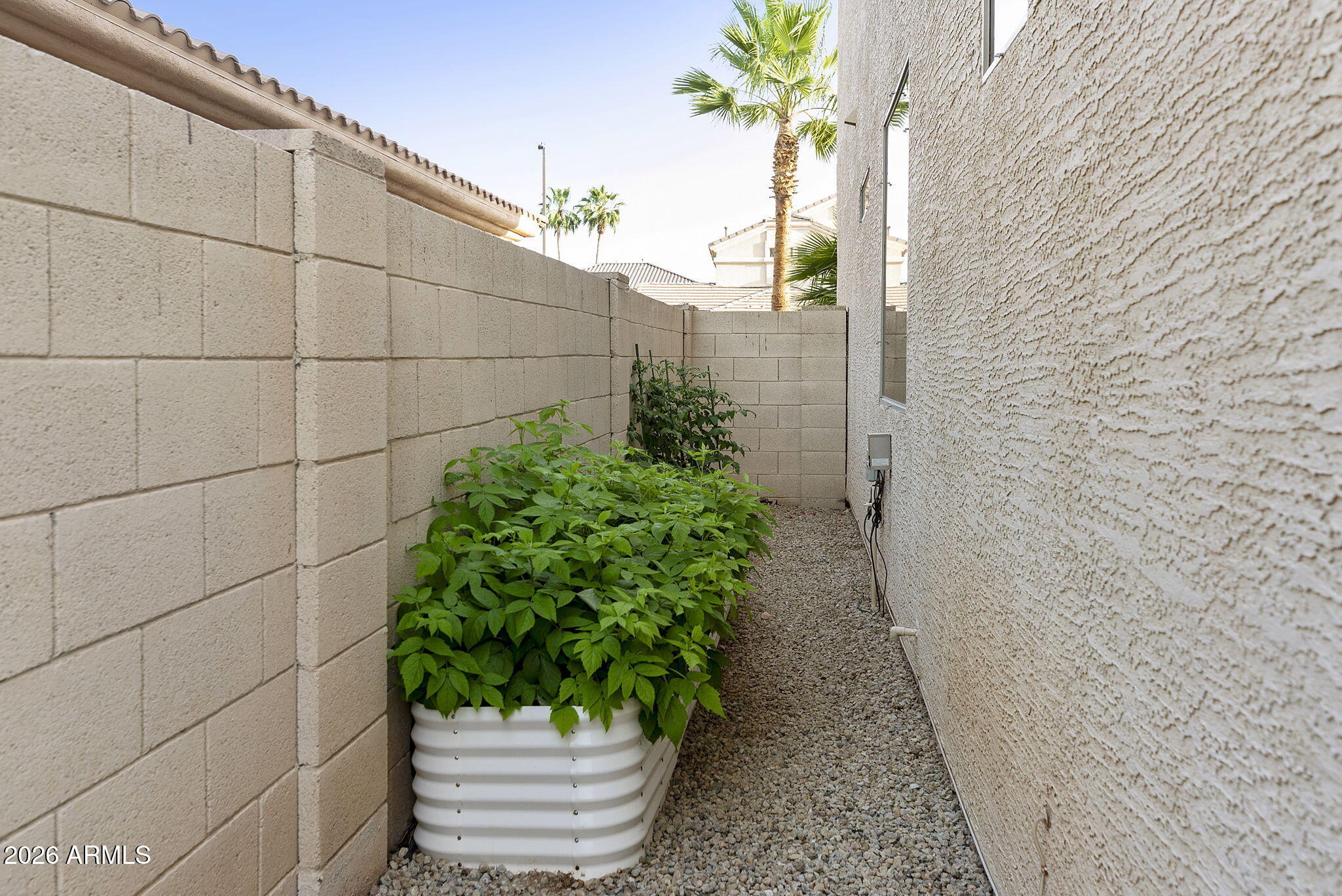 13660 West Monte Vista Road Goodyear, AZ 85395 - Photo 54 of 75 SIDE YARD HERB GARDEN