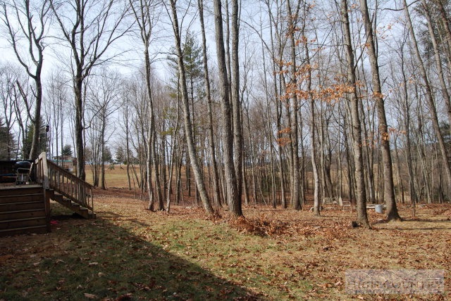 709 Lazy Branch Road Ennice, NC 28623 - Photo 3 of 7 a view of backyard with green space