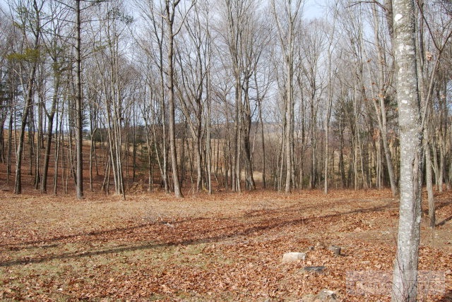 709 Lazy Branch Road Ennice, NC 28623 - Photo 5 of 7 a view of backyard with wooden fence