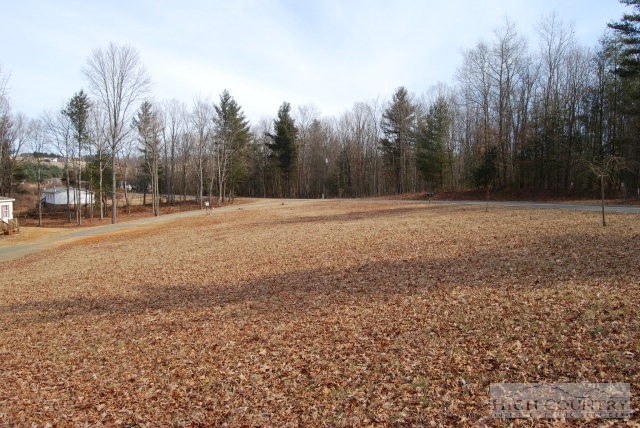 709 Lazy Branch Road Ennice, NC 28623 - Photo 6 of 7 a backyard of a house with trees all around