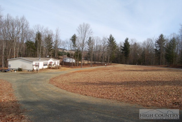 709 Lazy Branch Road Ennice, NC 28623 - Photo 7 of 7 a view of road with trees