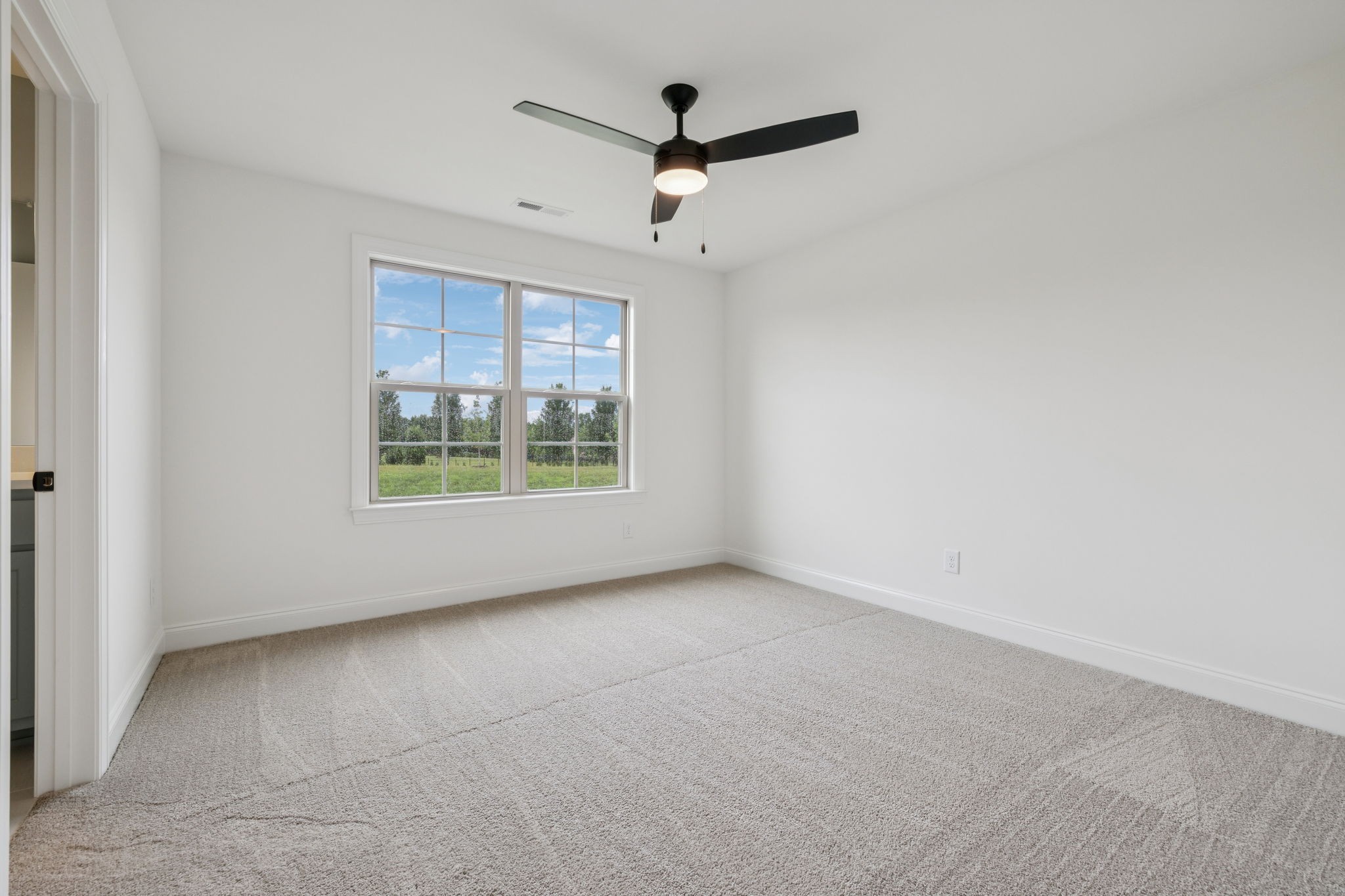 217 Bellsford Road Gallatin, TN 37066 - Photo 54 of 73 an empty room with windows and ceiling fan