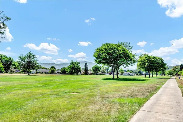a house with a big yard and large trees