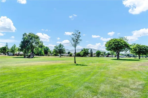 a house view with a big yard