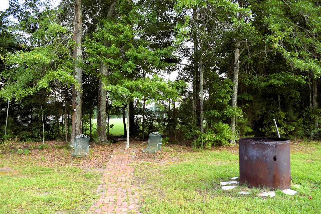 7252 County Road 49 Slocomb, AL 36375 - Photo 46 of 75