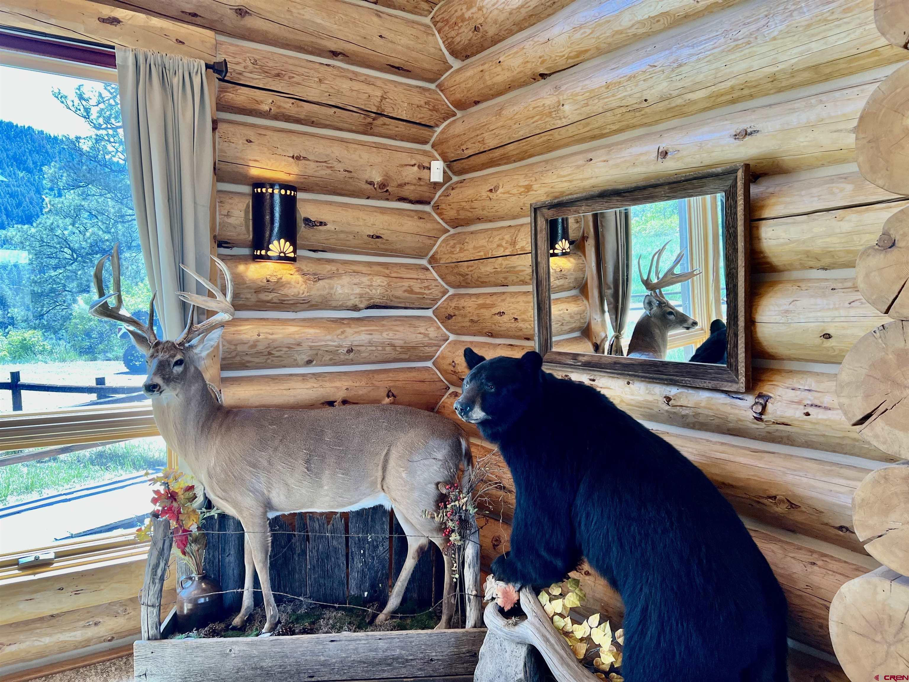 1329 B Spg Vly Rnch Road, Unit ELK HAVEN Chromo, CO 81128 - Photo 12 of 33 a bed room with a bed and a window