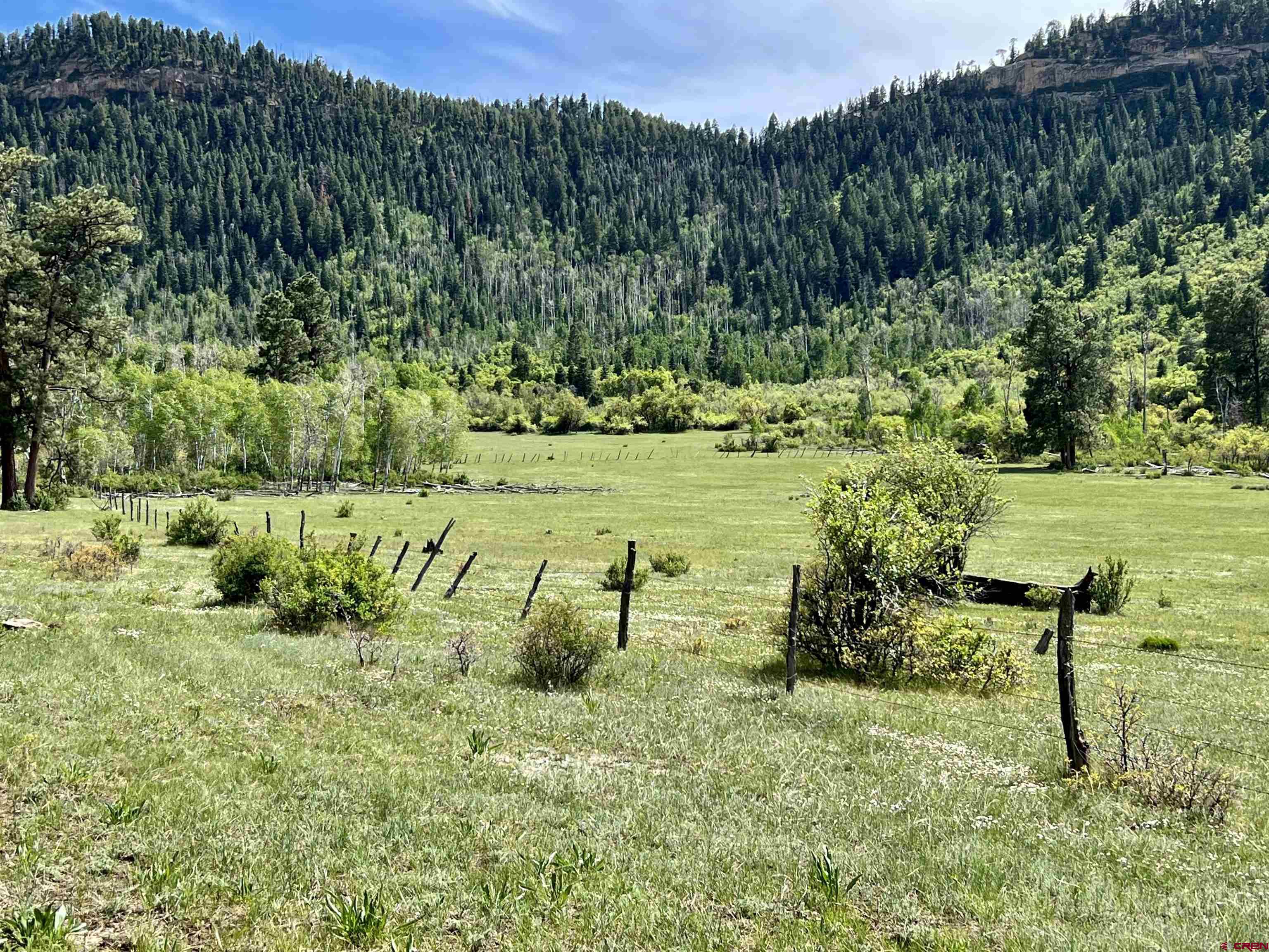 1329 B Spg Vly Rnch Road, Unit ELK HAVEN Chromo, CO 81128 - Photo 20 of 33 a view of a garden with a bench