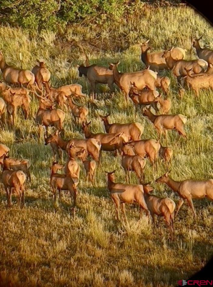 1329 B Spg Vly Rnch Road, Unit ELK HAVEN Chromo, CO 81128 - Photo 2 of 33 a view of a yard