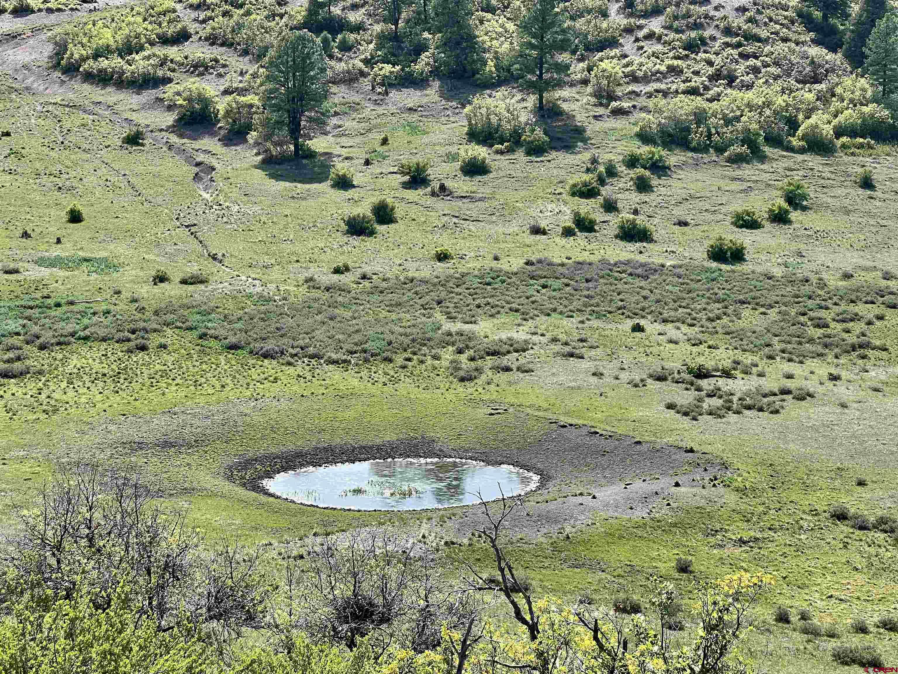 1329 B Spg Vly Rnch Road, Unit ELK HAVEN Chromo, CO 81128 - Photo 32 of 33 a view of a garden