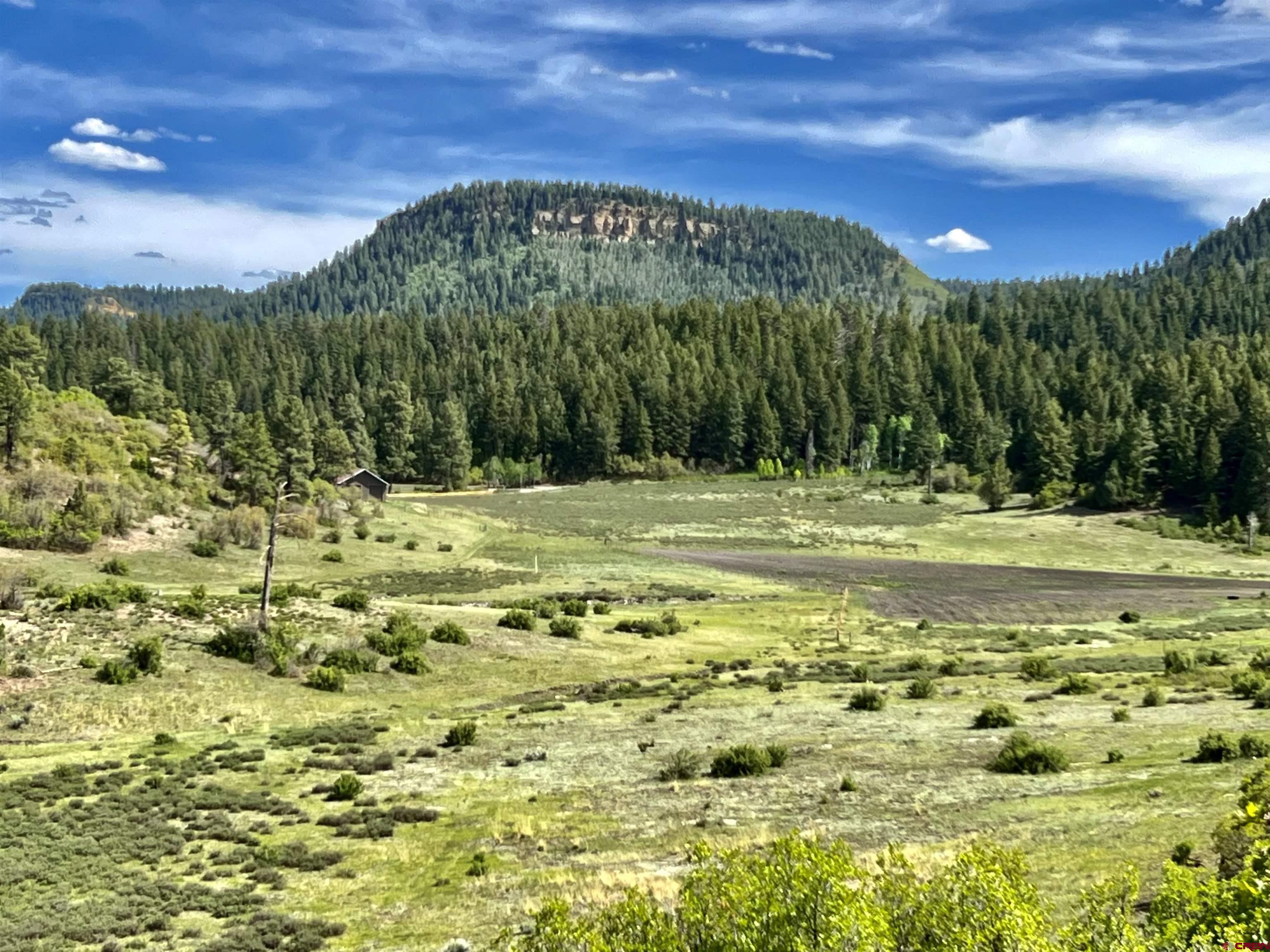 1329 B Spg Vly Rnch Road, Unit ELK HAVEN Chromo, CO 81128 - Photo 33 of 33 a view of a big yard with a garden