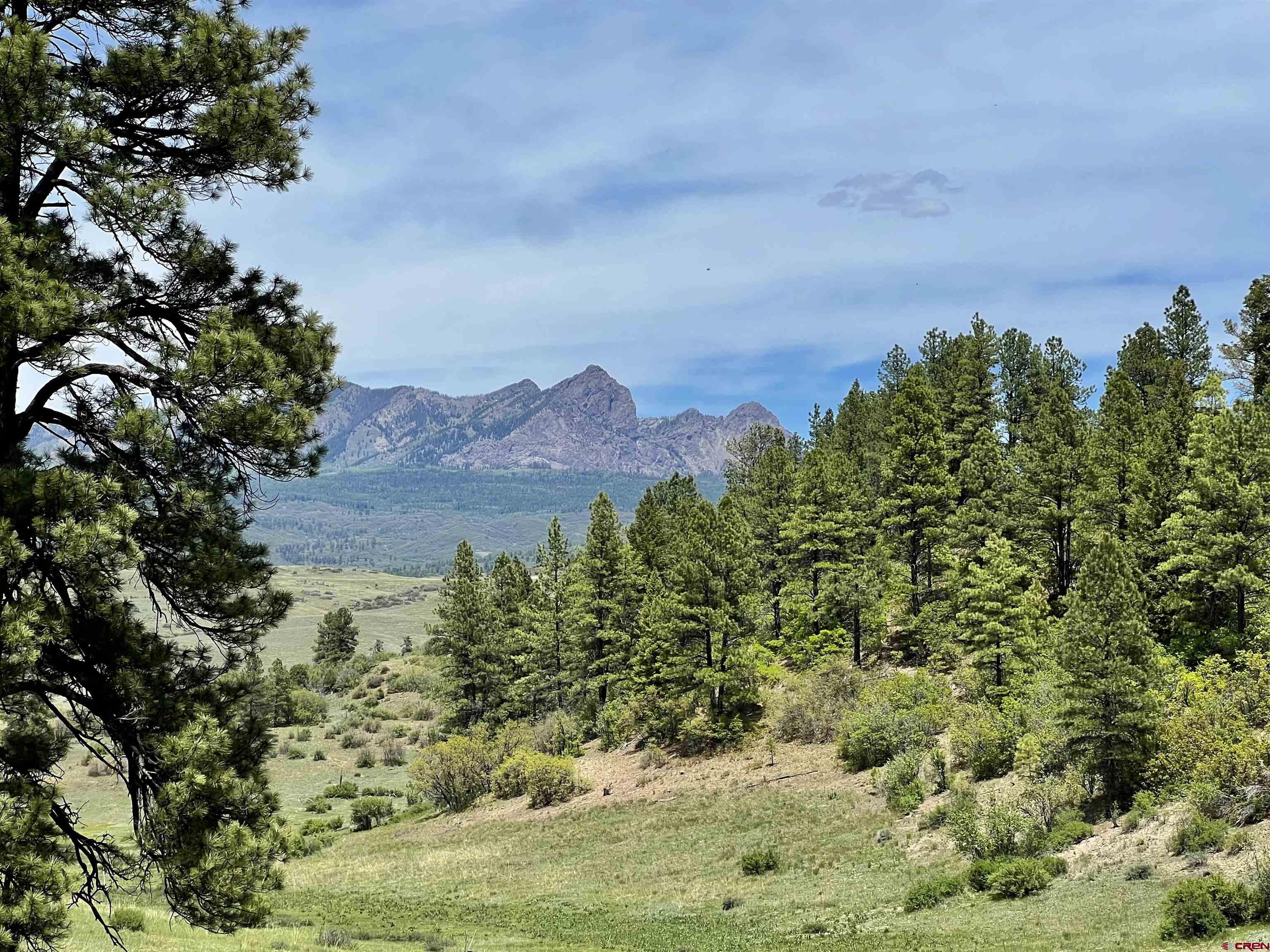 1329 B Spg Vly Rnch Road, Unit ELK HAVEN Chromo, CO 81128 - Photo 6 of 33 a view of a yard with a tree