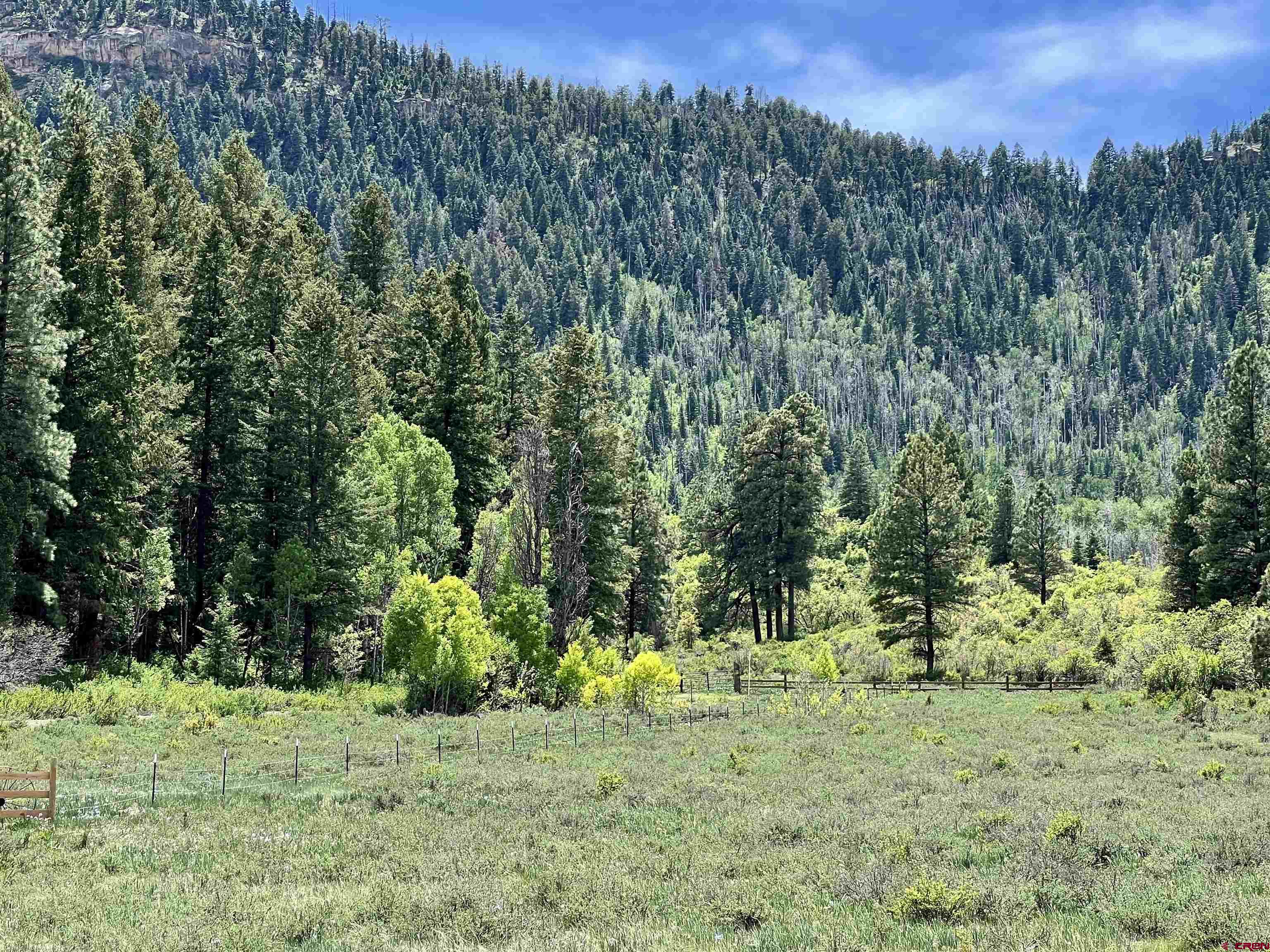 1329 B Spg Vly Rnch Road, Unit ELK HAVEN Chromo, CO 81128 - Photo 7 of 33 a view of a yard with a tree