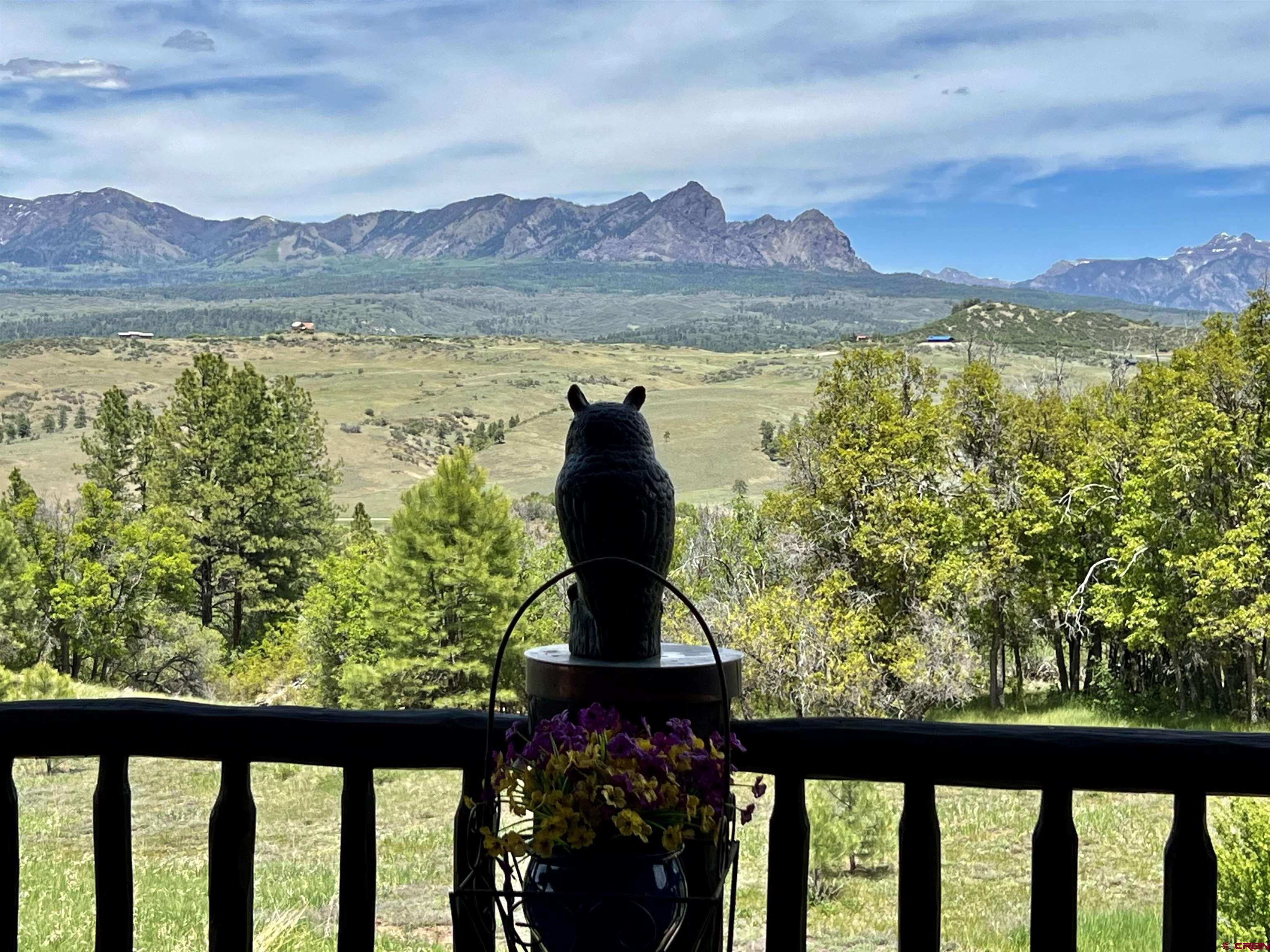 1329 B Spg Vly Rnch Road, Unit ELK HAVEN Chromo, CO 81128 - Photo 9 of 33 a view of a lake from a balcony