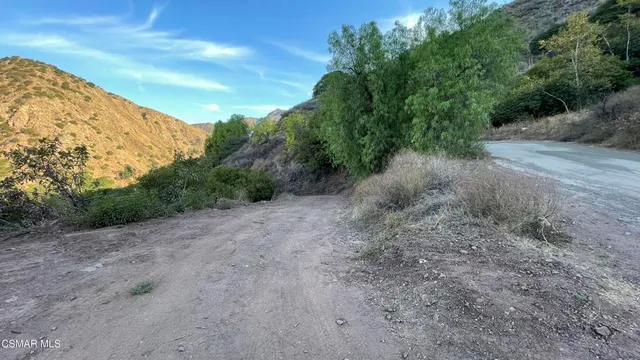 a view of a dry yard with lots of green space